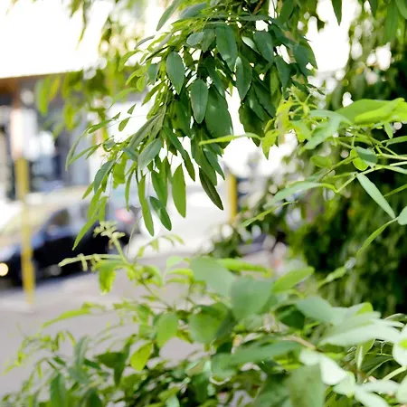 Konukevi Gateway Roma