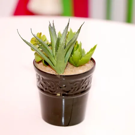 Gateway ゲストハウス ローマ