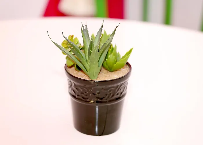 Gateway Gasthuis Rome